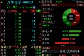 上半年增收不增利，万华化学盘中跌超4%图片