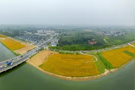 乐陵：高质量构建现代水网体系图片