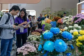 （经济）第二十一届中国昆明国际花卉展开幕图片