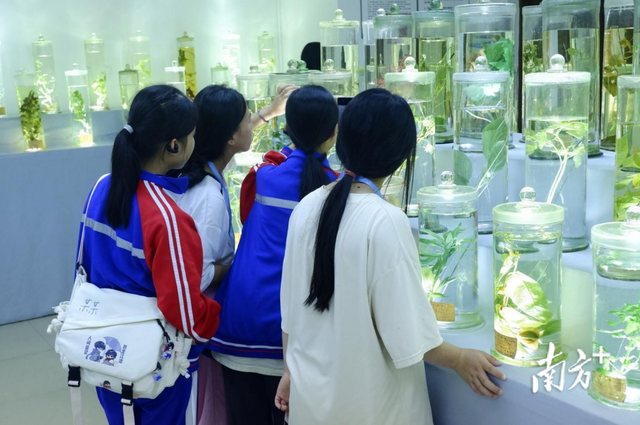 一群县中的孩子，来到广州高校学生物