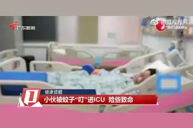 被蚊子“叮”进ICU？医生紧急提醒→图片