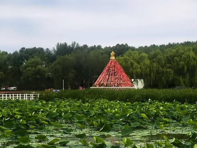 活力中国调研行丨生态保护先行 查干湖风景美如画