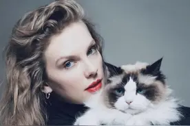 莹观天下|“霉霉”官宣支持哈里斯，会给美国大选带来多大影响图片