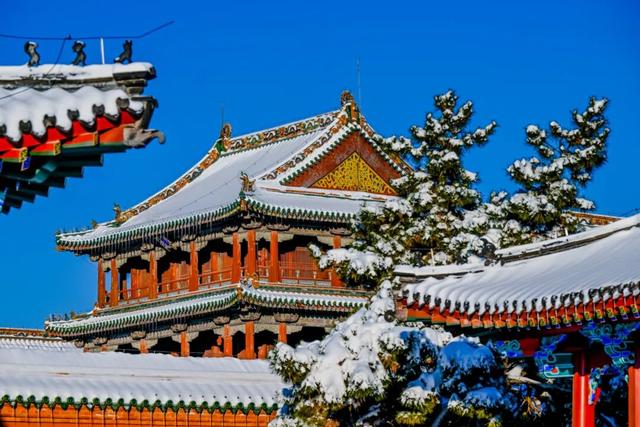 全网都在等的沈阳故宫雪景，来了→