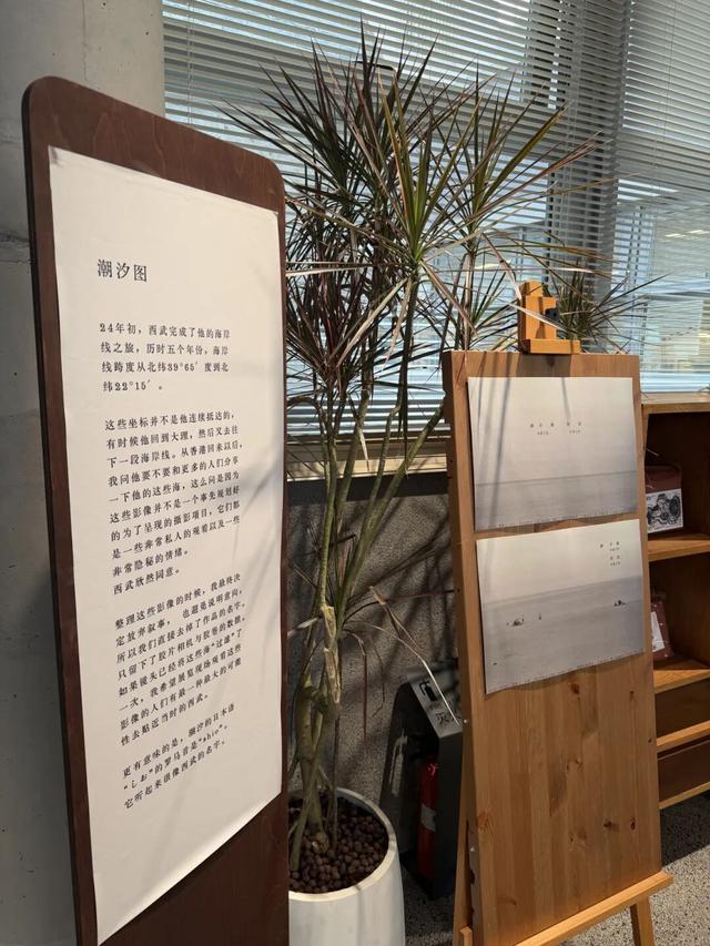 开在“亚洲花都”斗南的书店，真“香”