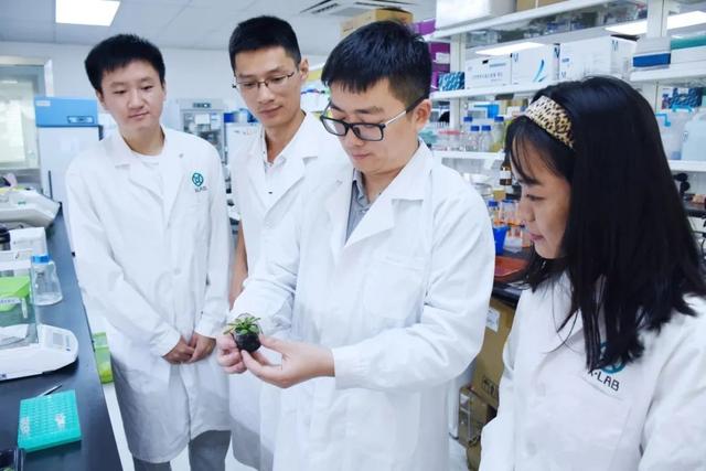 全省唯一！福建农林大学这位教授，获奖300万元！