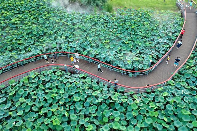 湾区微度假，斗门风光“镇”好