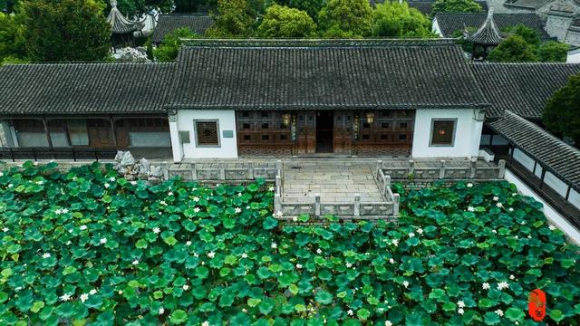 为什么来愚园一定要听讲解？