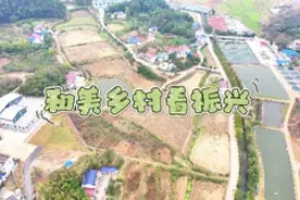 乡村振兴看湘潭·和美乡村篇⑥丨湘潭县碧泉村：多元产业“百花齐放” 和美乡村“展新颜”图片