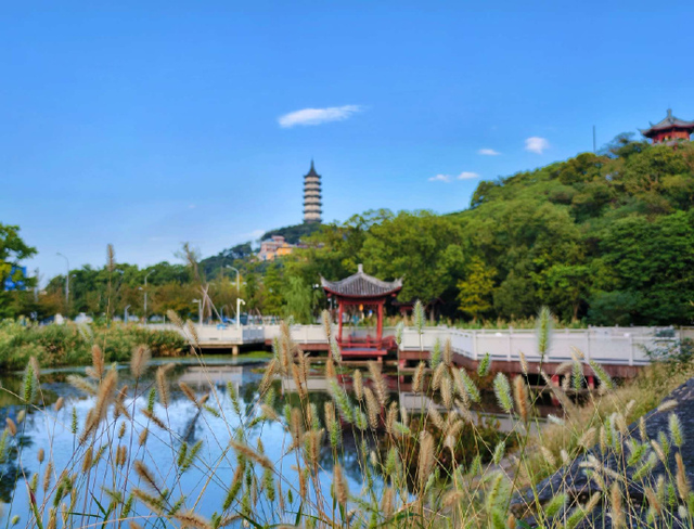 你的“小确幸”是什么？