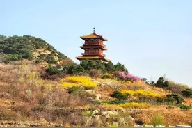 泰山环山路花开满山图片