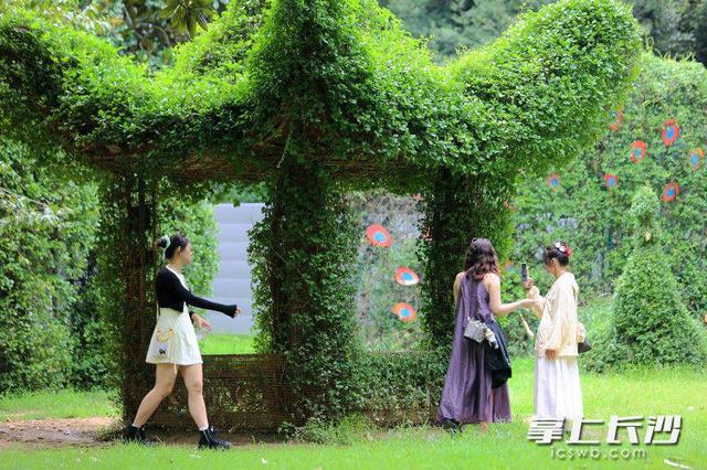 组图｜虽已立秋暑气未散，仍需防暑降温