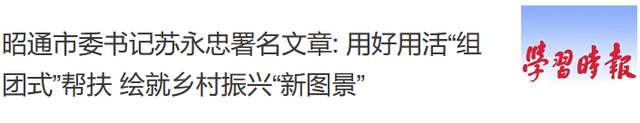 拥抱一段“夏凉菌香”的美好旅程