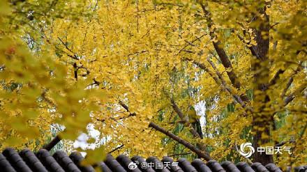 绝美！打卡中山公园秋日视觉盛宴