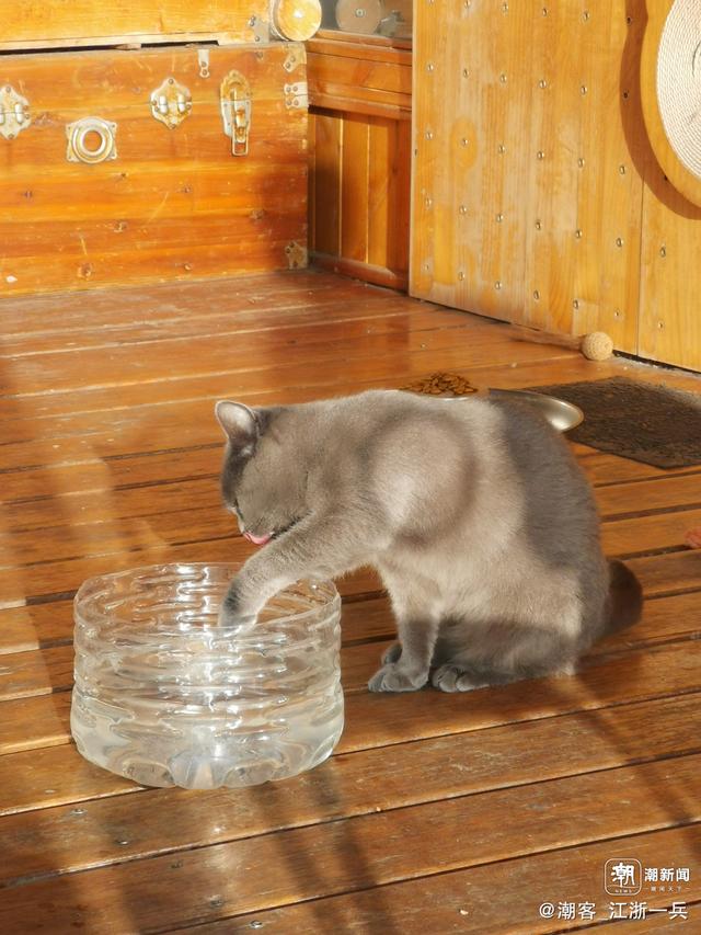 写点生活｜长兴水口疗养记