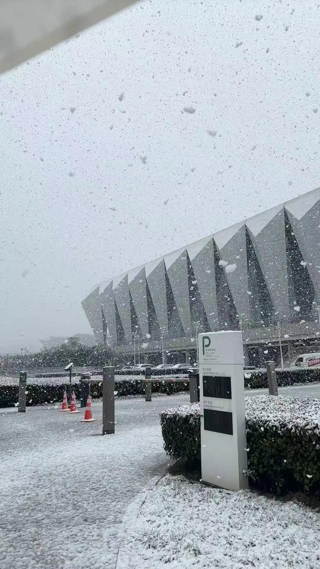 热搜第一！西安突降大雪，网友：“这么多年第一次见”；吴京、董宇辉分享美景