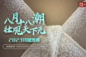 2023钱塘观潮｜八月十八潮 壮观天下无图片