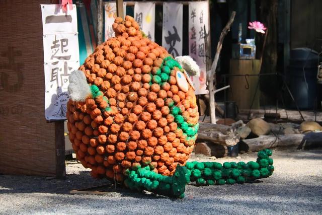 初冬适合相聚！就到照澜村去