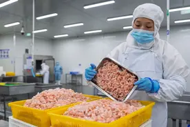乡村振兴周刊｜最快7天 加拿大北极甜虾“过境”黔江到日本 重庆首单进口水产品加工复出口背后的产业突围图片