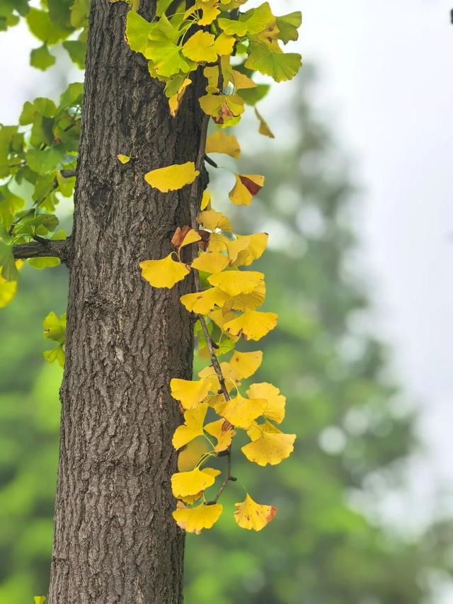 别眨眼，接下来的新干是这样的→