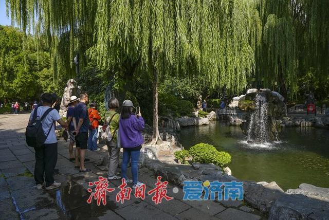 一年四季 泉在济南丨泉水欢腾！“月牙飞瀑”景观进入高光时刻
