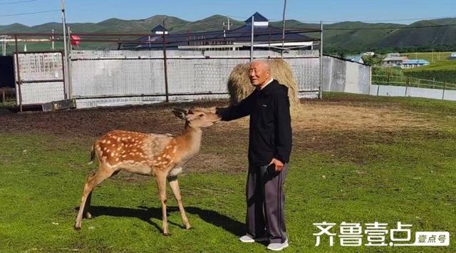 壹点号·行记|向北，向蓝——自驾额尔古纳，一路撞见宫崎骏的夏天