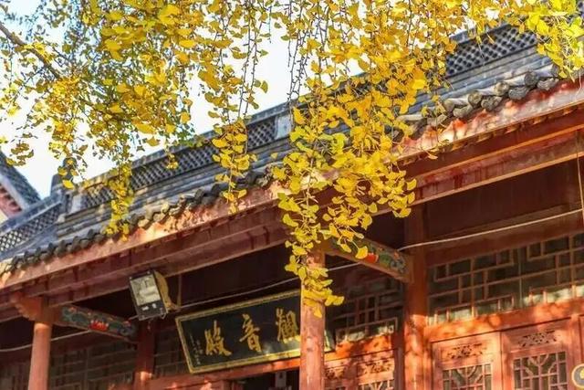 镇 江 开 启 浪 漫 模 式