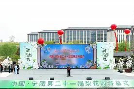 河南宁陵梨花周开幕 农旅融合助力乡村振兴图片