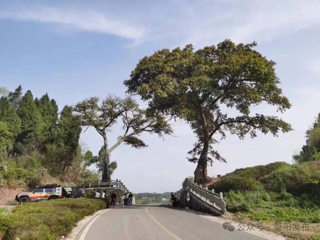 七夕至，简阳的浪漫藏在这些地方