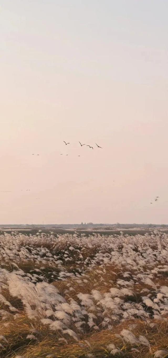 江西的美，不止“风花雪月”！