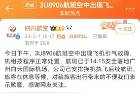 川航一航班因引气故障备降！回应来了图片