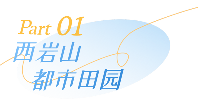 3分钟，我要这些公园的全部资料！