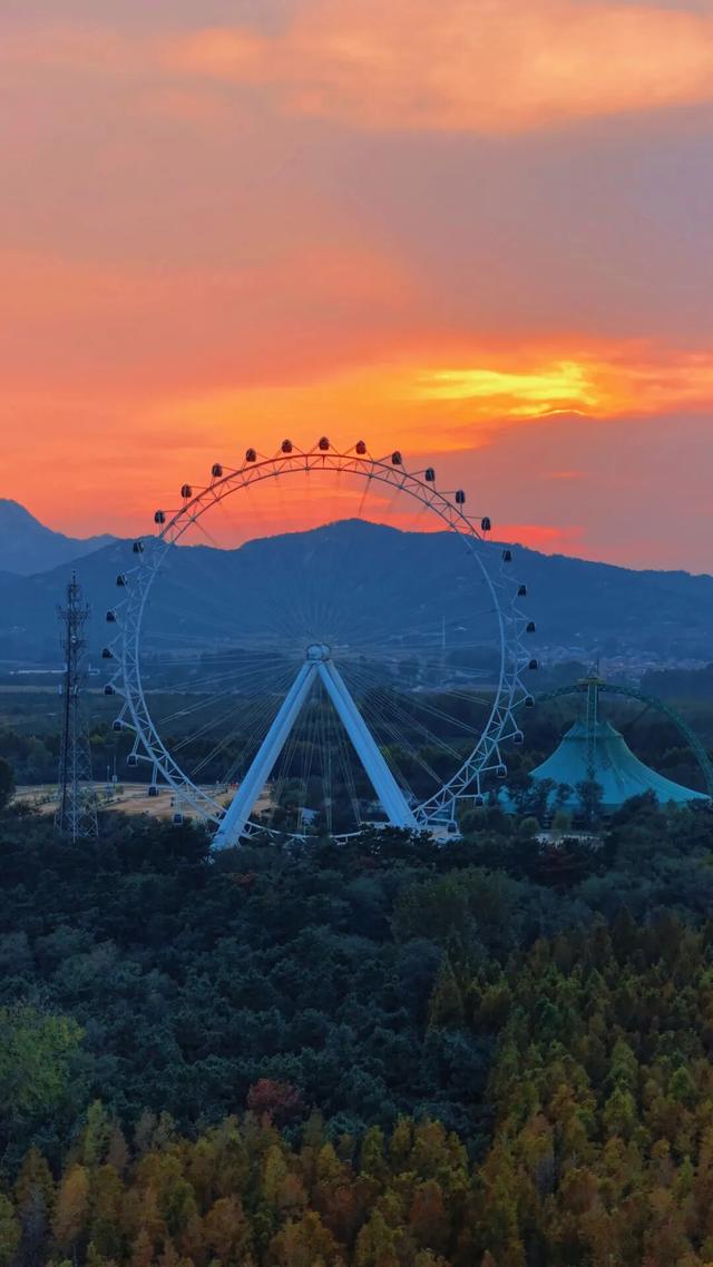 这片焦糖色的“童话森林”，美得藏不住了！