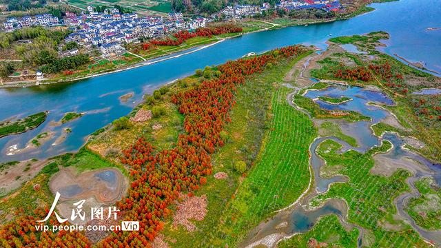 浙江淳安：武强溪生态湿地五彩斑斓