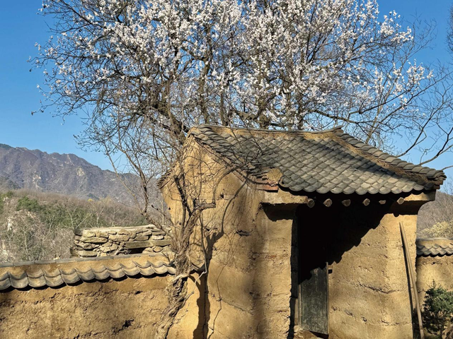 一位青年在山中生活十年，日常最快乐的事就是瞎折腾