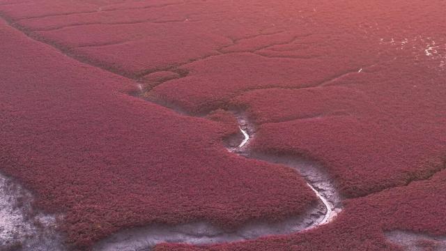 秋染湿地披红装