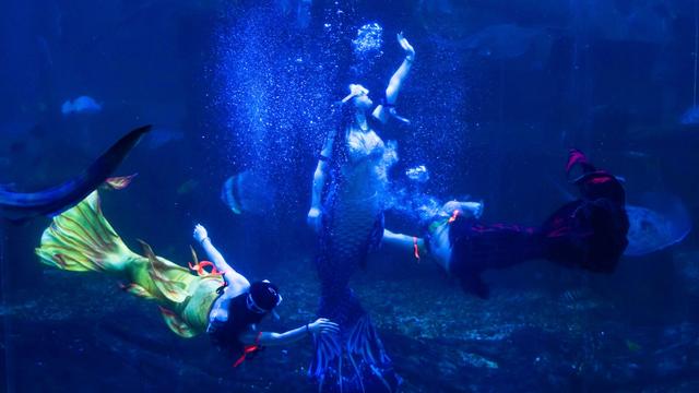 春节遛娃好去处 石林冰雪海洋世界推出2月限定梦幻灯展夜场