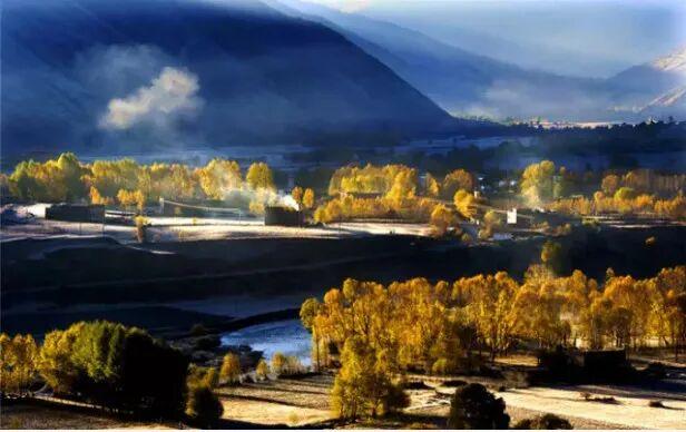 听说放秋假了？新都桥这波秋日余温太美了