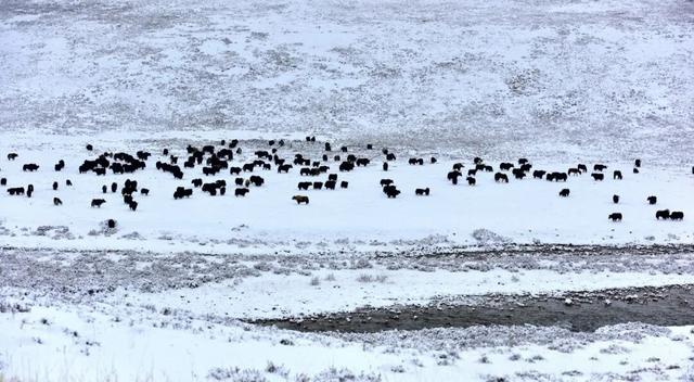 雪后的甘孜，走一路美一路！