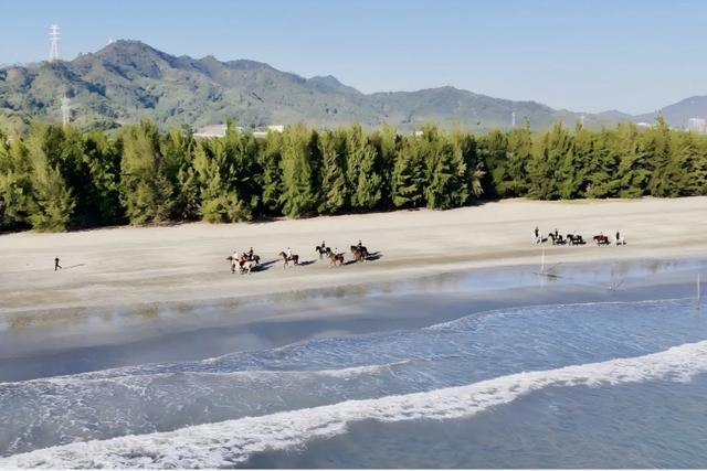 古寨温泉、听涛踏浪…深汕新春别具韵味｜深汕年味