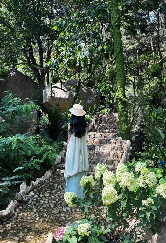 教师节免费游蒙山！还有更多免票特惠惊喜等您查收~