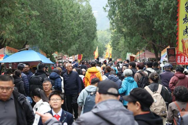 第42届千佛山“九月九”重阳山会开幕