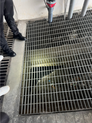 旅业场所如何防蚊灭蚊？指南来了→