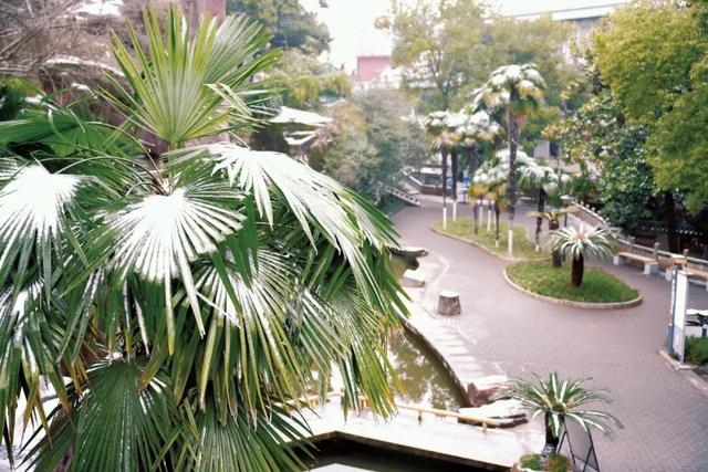 衡阳下雪了！你拍到没？