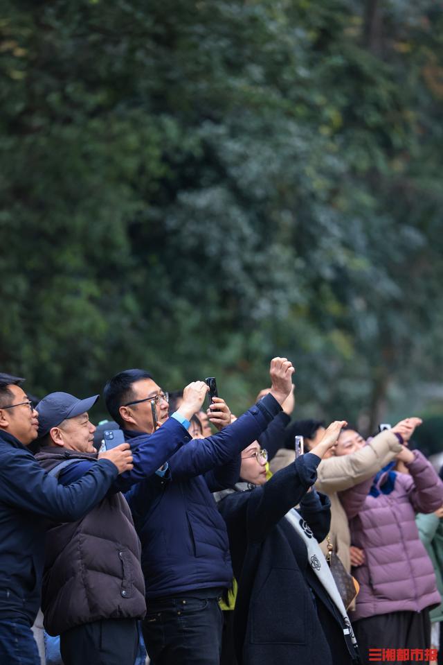 我是刘贵香 |  岳麓山上