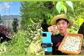 如何将用心用爱种出来的中药材卖出去图片