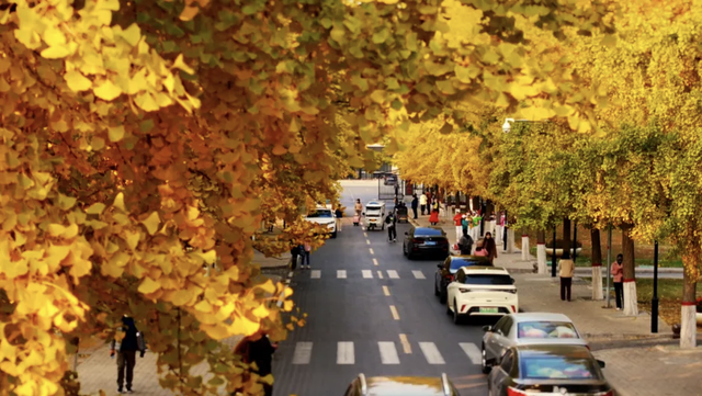 周末出发！河南最美彩色地图上线