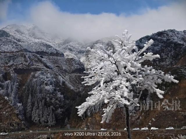有执念！柳州这个森林公园变身“冰雪王国”，紧急封路也要走上去！