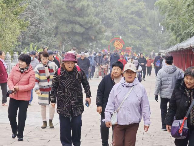 非遗、义诊、孝亲体验！八大处举行重阳游山会