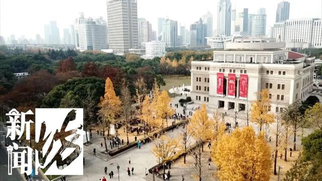 "全上海人都来了吧…"今天这条路什么情况？大堵车！还有30万人抢破头↗